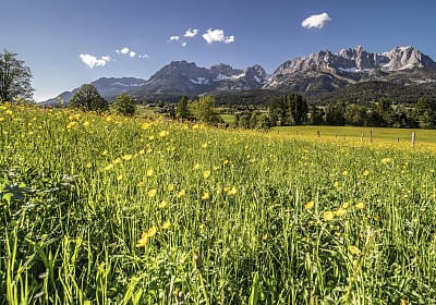 fruehlingpanoramawilderkaiserfotoemanueladensam1eafoto.jpg